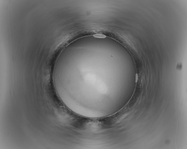 X0000091010595200708162000