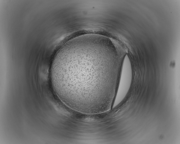 X0000091010596200708162000