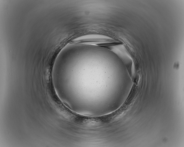 X0000091010597200708162000