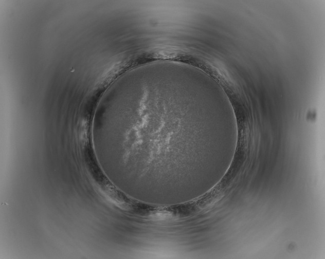 X0000091010598200708162000