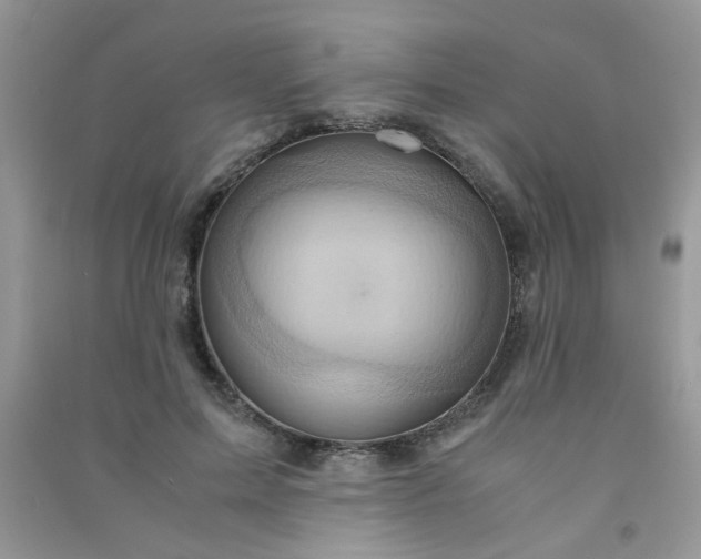 X0000091010599200708162000