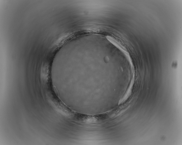 X0000091010600200708162000