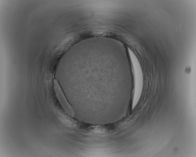 X0000091010601200708162000