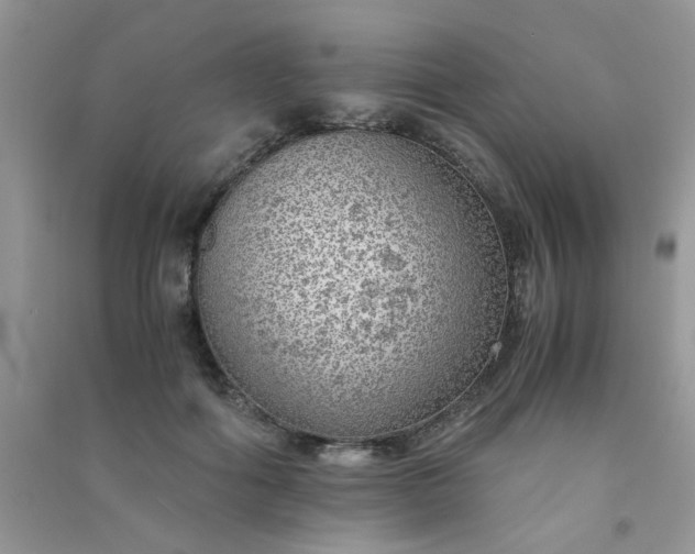 X0000091010602200708162000