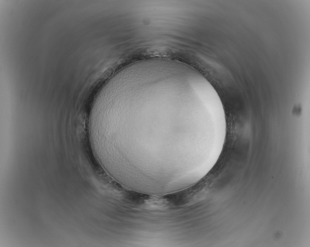 X0000091010603200708162000