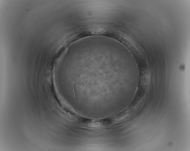 X0000091010604200708162000