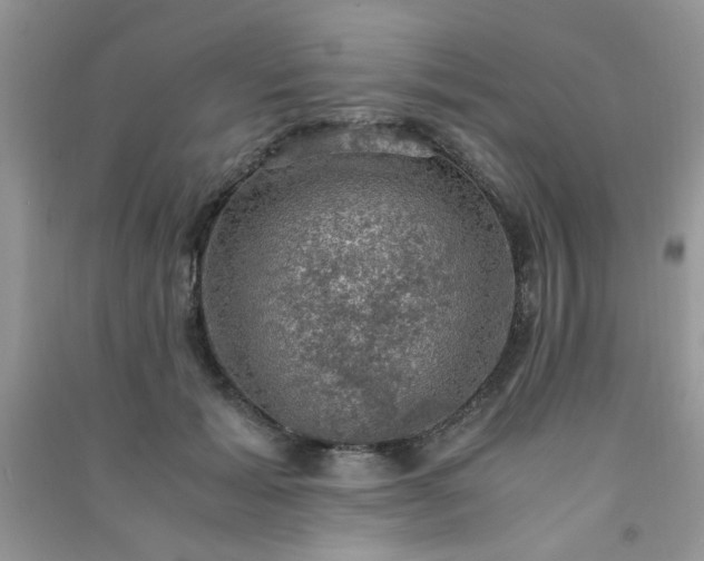 X0000091010605200708162000