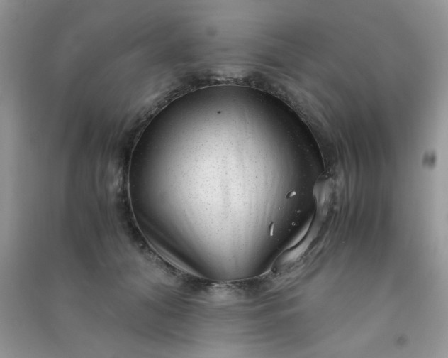 X0000091010608200708162000