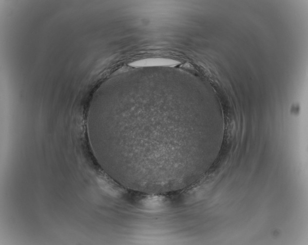 X0000091010609200708162000