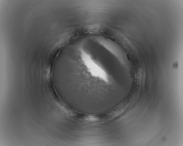 X0000091010610200708162000