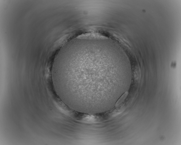 X0000091010611200708162000