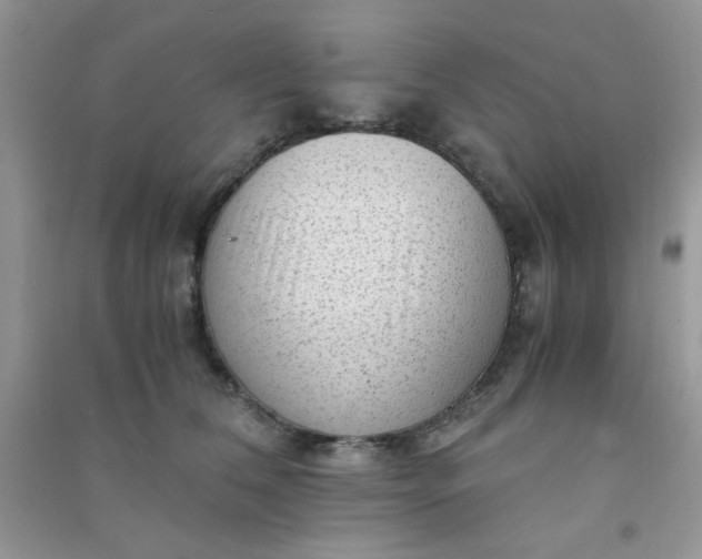 X0000091010612200708162000