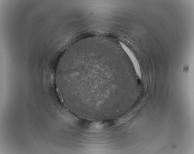 X0000091010613200708162000