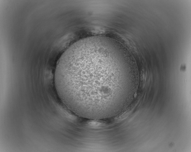 X0000091010614200708162000