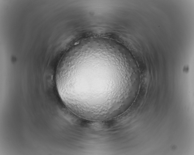 X0000091010615200708162000