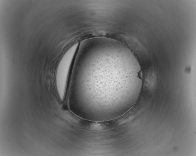 X0000091010616200708162000