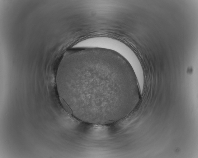 X0000091010617200708162000