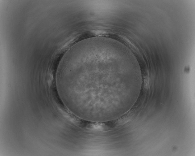 X0000091010618200708162000