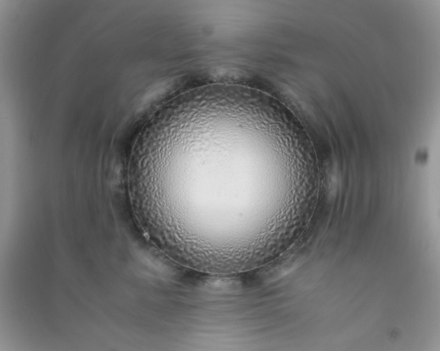 X0000091010619200708162000