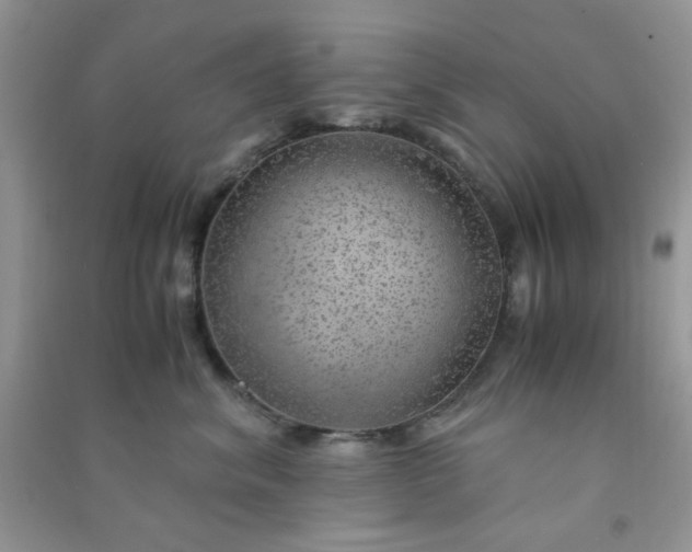 X0000091010620200708162000