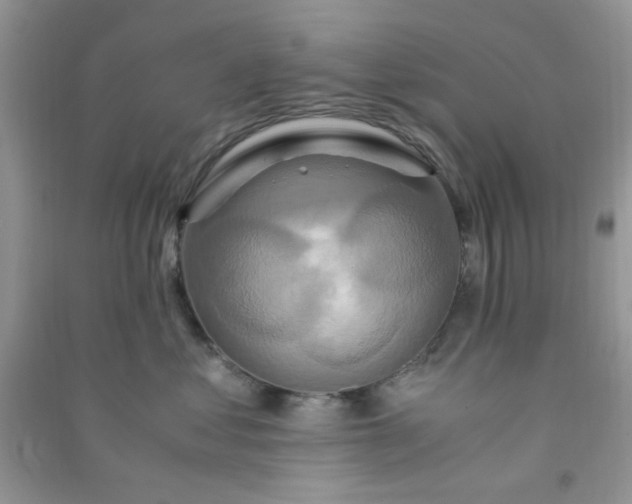 X0000091010621200708162000