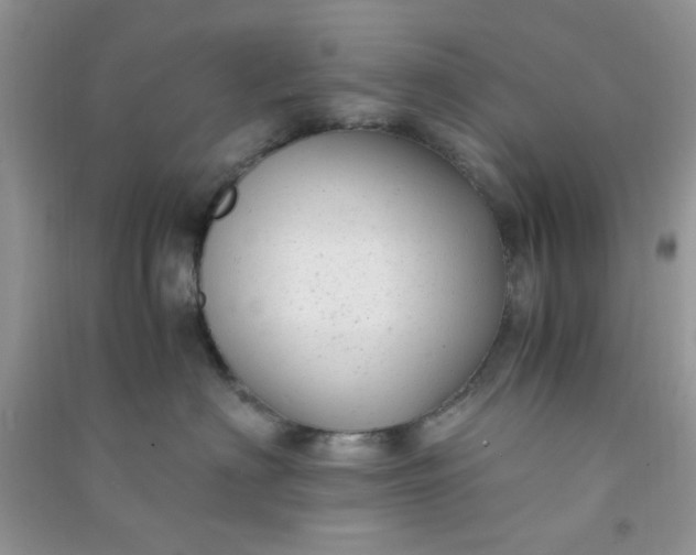 X0000091010622200708162000