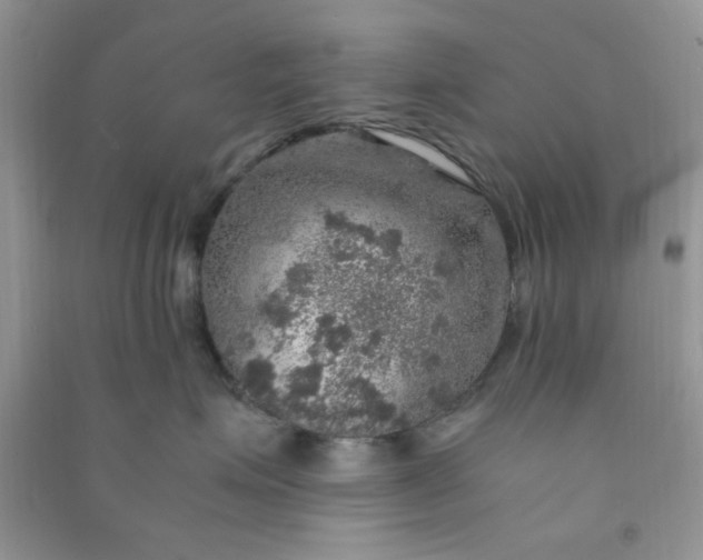 X0000091010623200708162000