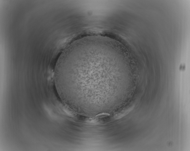 X0000091010624200708162000