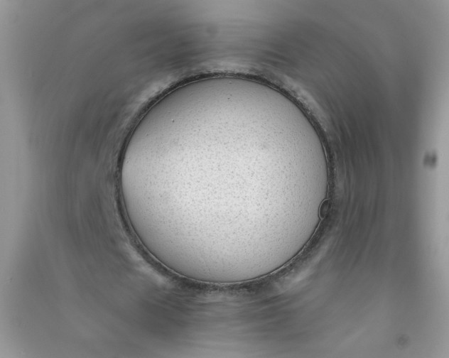 X0000091010625200708161959