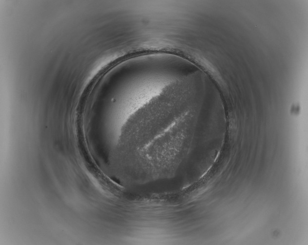 X0000091010626200708161959