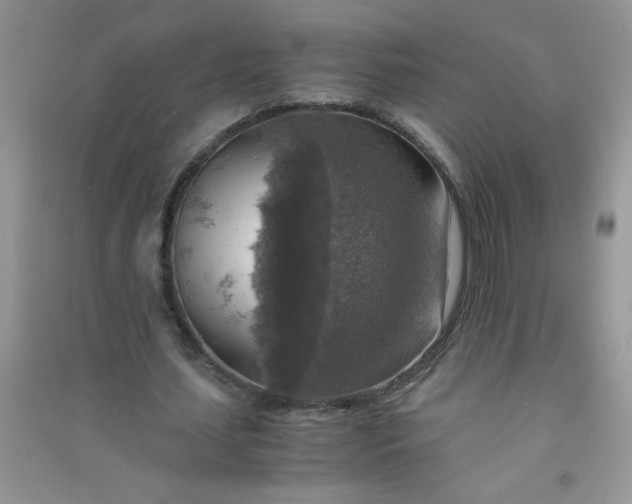 X0000091010627200708161959