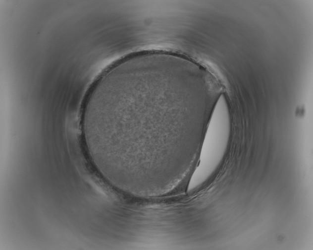 X0000091010628200708161959