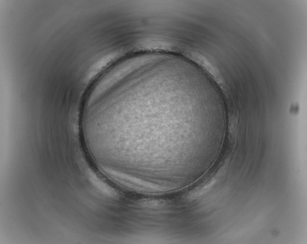 X0000091010629200708161959