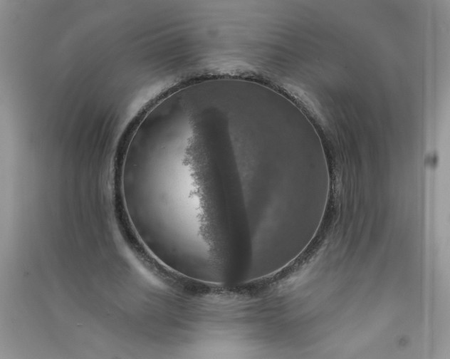 X0000091010630200708161959