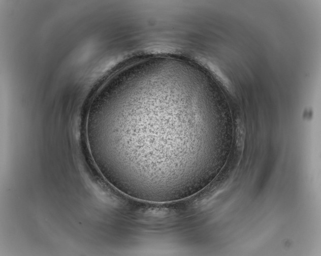 X0000091010631200708161959