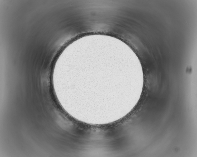 X0000091010632200708161959