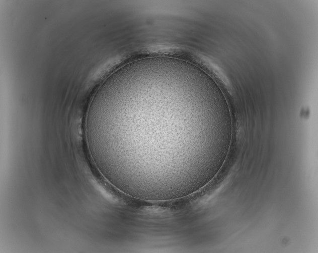 X0000091010633200708161959