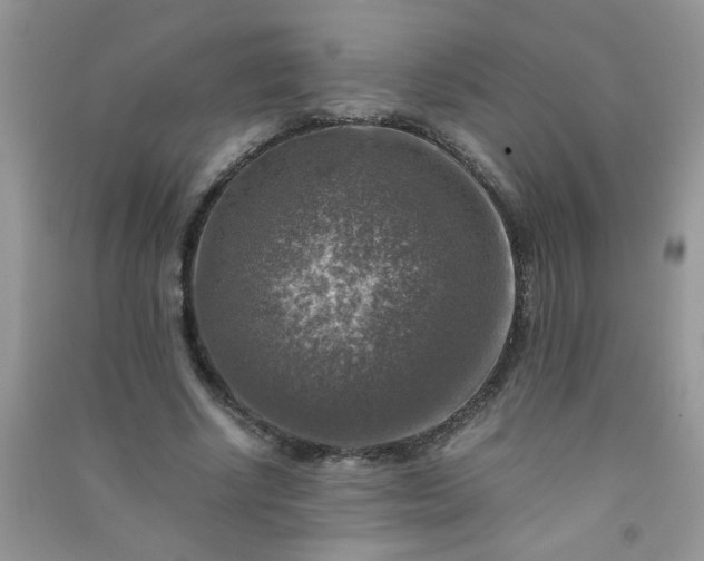 X0000091010634200708161959