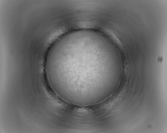 X0000091010635200708161959