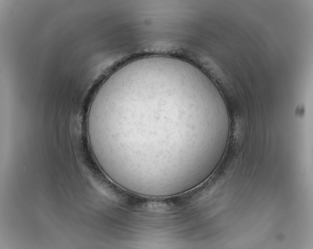 X0000091010636200708161959