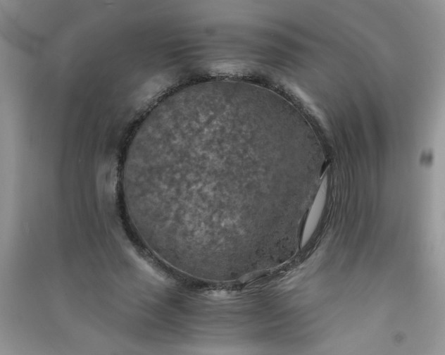 X0000091010637200708161959