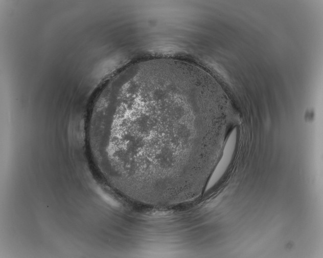 X0000091010638200708161959