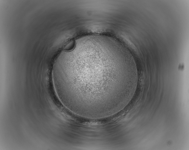 X0000091010639200708161959