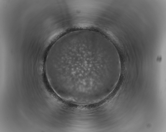 X0000091010640200708161959