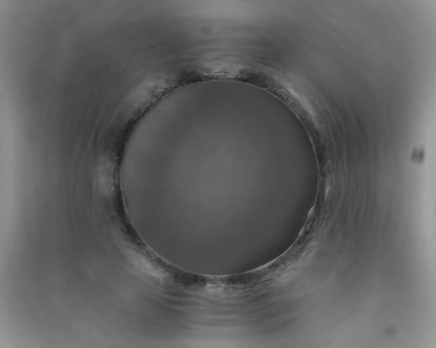 X0000091010641200708161959