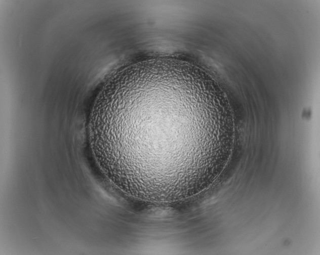 X0000091010642200708161959