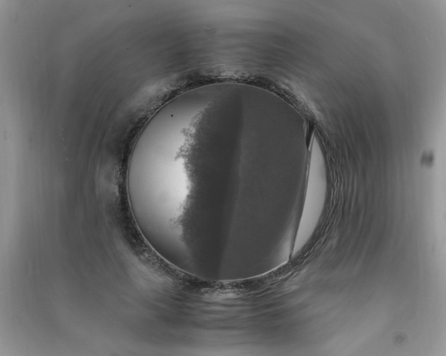 X0000091010643200708161959