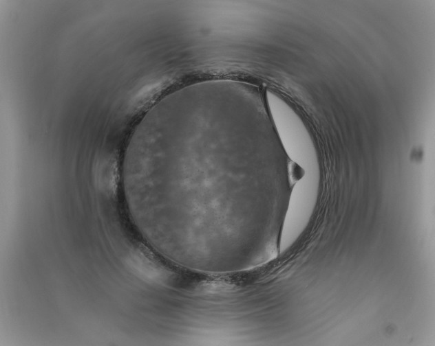 X0000091010644200708161959