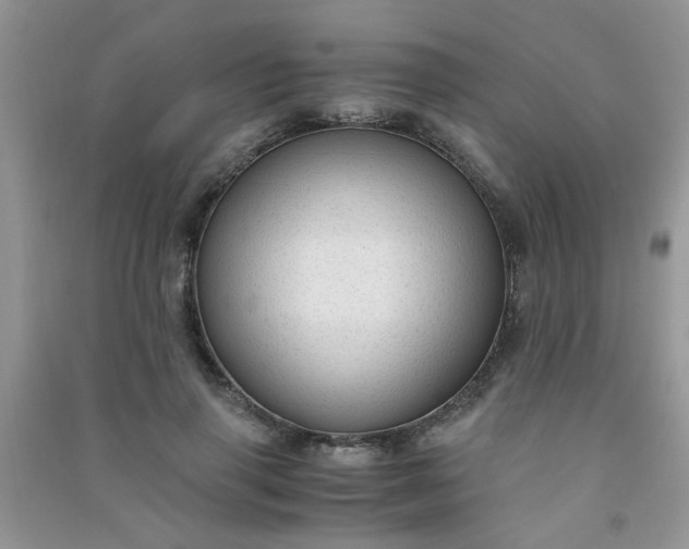 X0000091010645200708161959