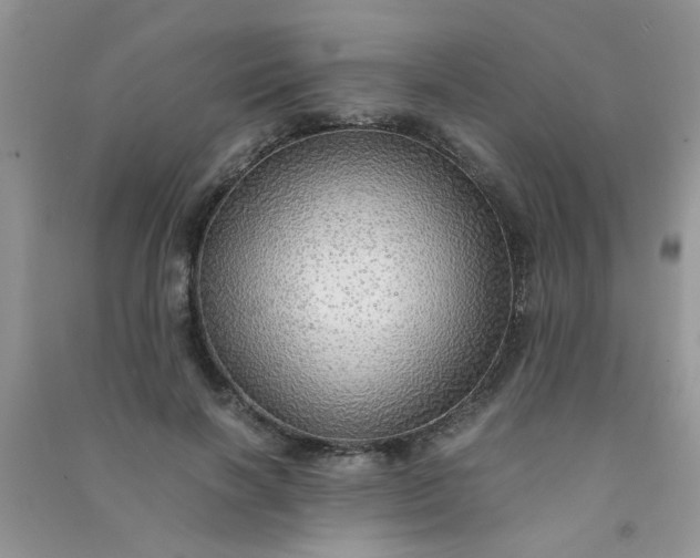 X0000091010646200708161959